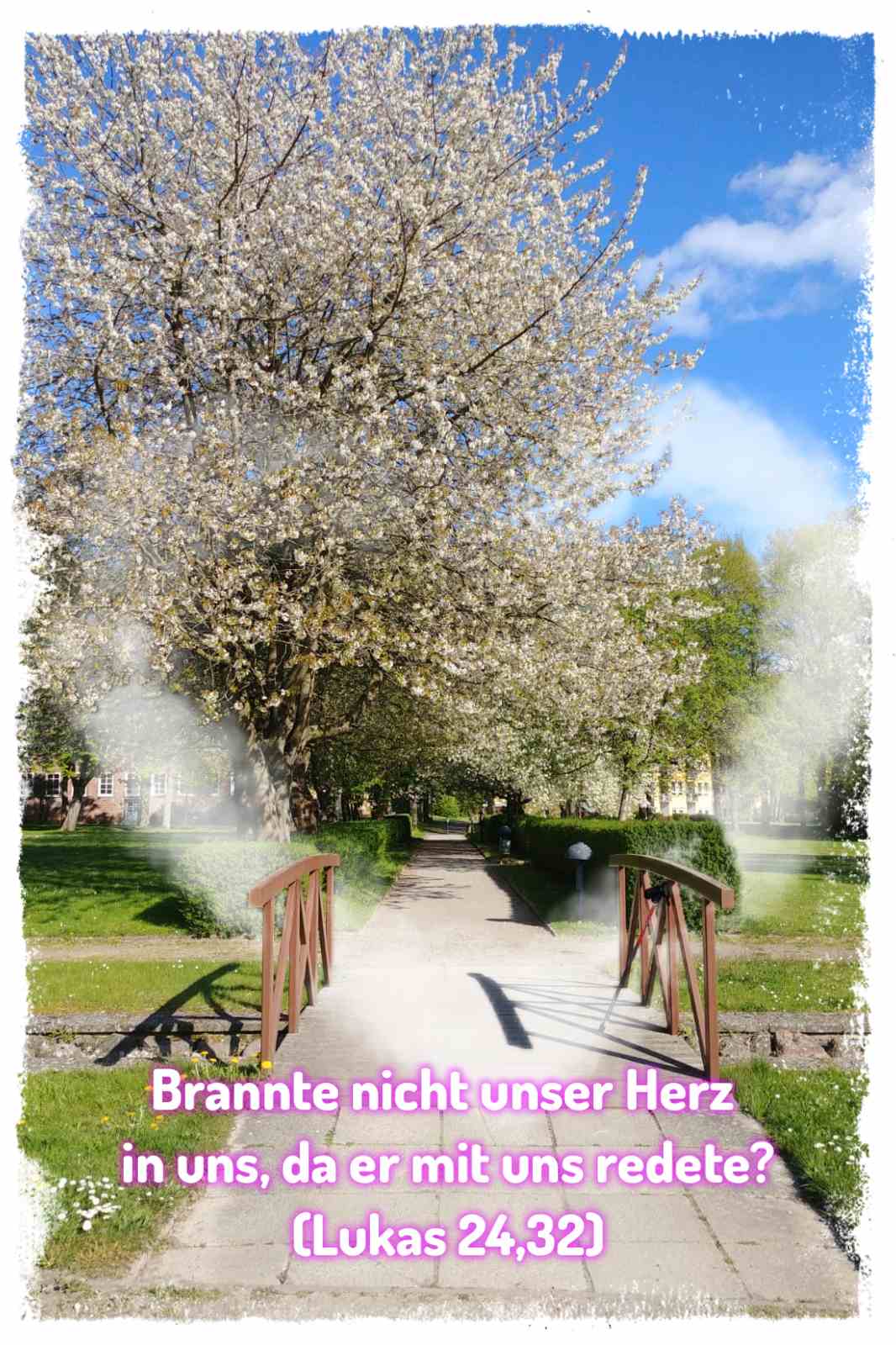 Monatsspruch April 2025